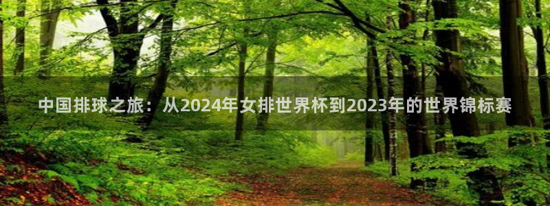 松鼠体育：中国排球之旅：从2024年女排世界杯到2023年的世界锦标赛
