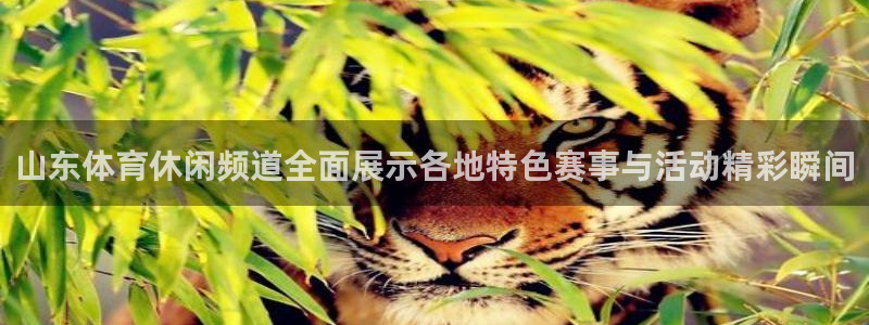 下载松鼠电视直播：山东体育休闲频道全面展示各地特色赛事与活动精彩瞬间