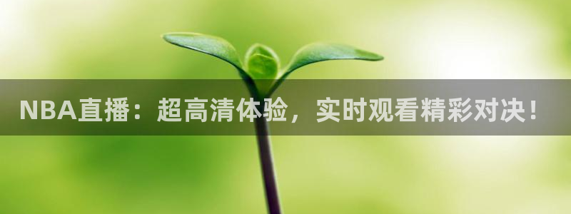 下载松鼠电视直播：NBA直播：超高清体验，实时观看精彩对决！