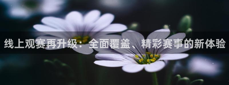 松鼠官方网站