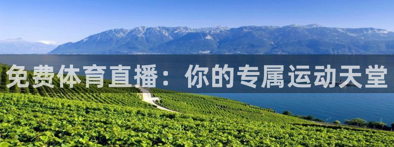 松鼠休闲游戏官网：免费体育直播：你的专属运动天堂
