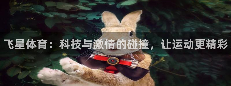 松鼠体育在线直播下载：飞星体育：科技与激情的碰撞，让运动更精彩