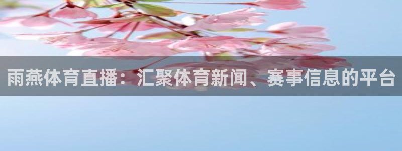 松鼠直播