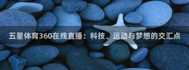 松鼠宝贝体育