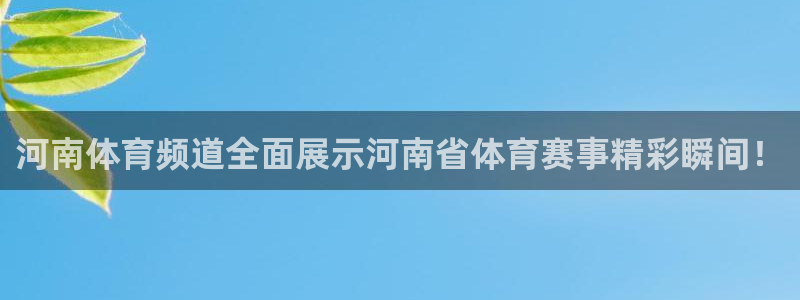 松鼠看球直播