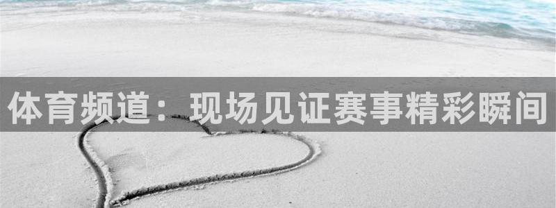 松鼠体育在线直播视频