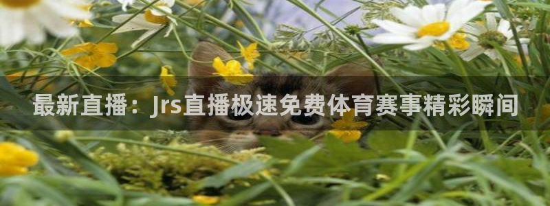 松鼠体育在线直播