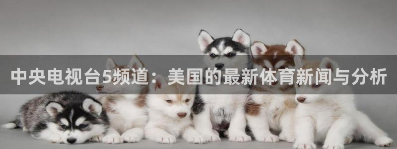 松鼠休闲游戏官网