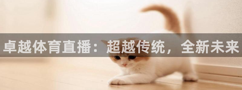 松鼠体育在线直播