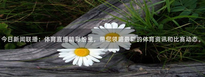 松鼠体育在线直播视频：今日新闻联播：体育直播精彩纷呈，带您领略最新的体育资讯和比赛动态。