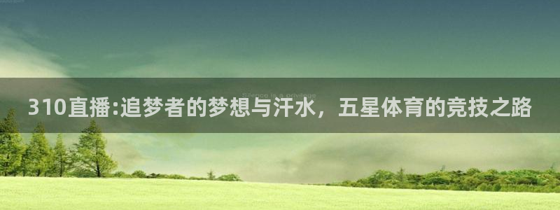 松鼠网官方下载：310直播:追梦者的梦想与汗水，五星体育的竞技之路